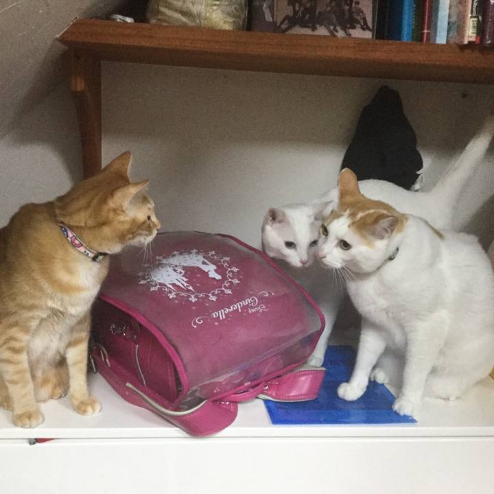 01c55956 dbb3 4f2d a1f7 fed5d7dd5cfd 1549632557017