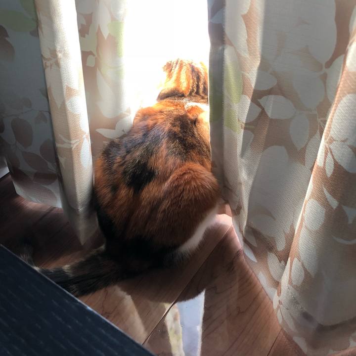 01c5684e e562 4823 9cf9 1db6f070319c 1541196104861