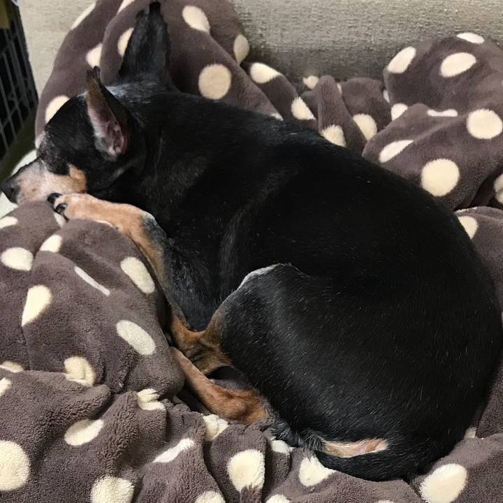 01c5830d 478d 4f65 bf24 a33e9d558aec 1564918186577