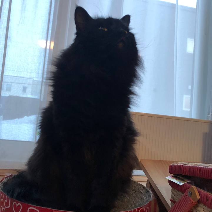 01c598d2 deb6 40c6 8609 d1c763c08379 1549471341089