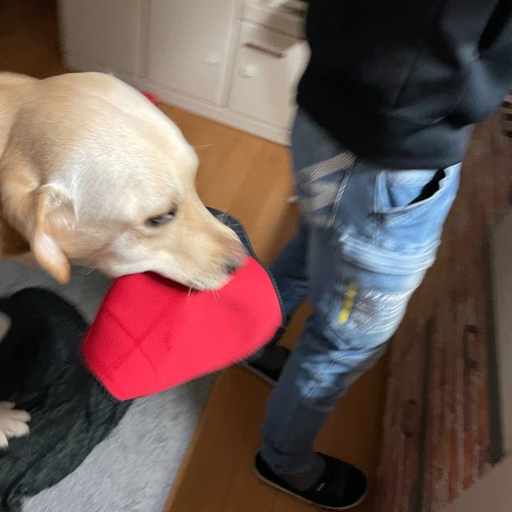 01c5b614 571c 4e37 9a35 cae80f7c3e7d 1645060381557