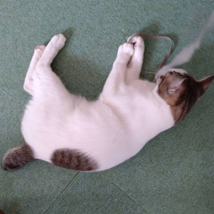 01c5bf99 f58a 4e4b a371 6ba9026fae7b 1651272605636