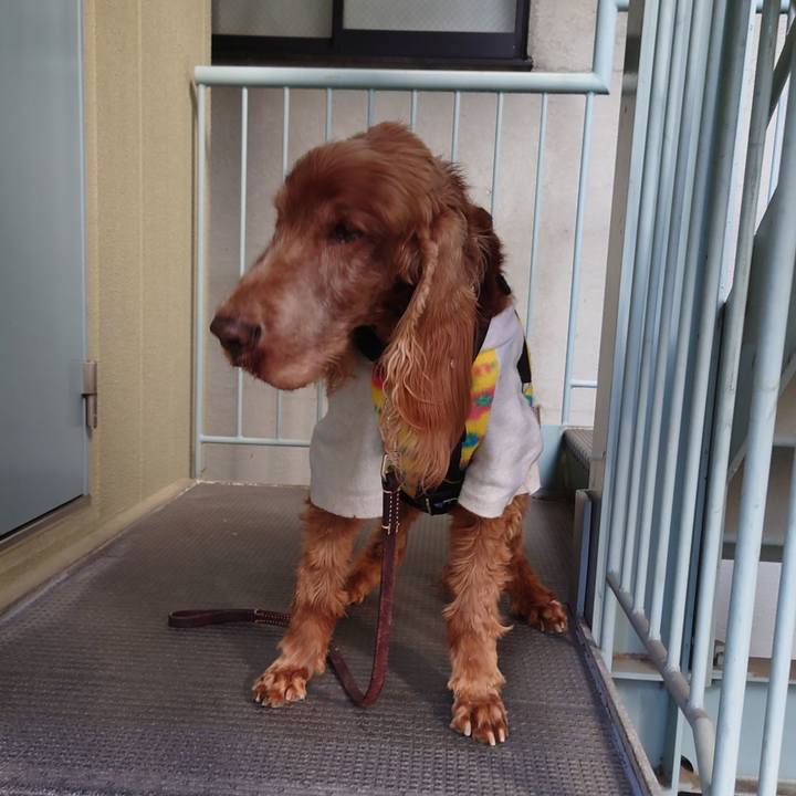 01c5e750 02d0 4eaa bd6b 5287c7a07c7a 1708067171726