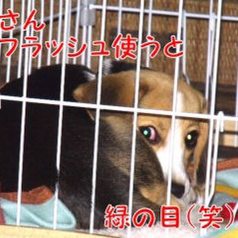 01c5f142 7e7a 448a 99b8 9534559e7131 1677284084273