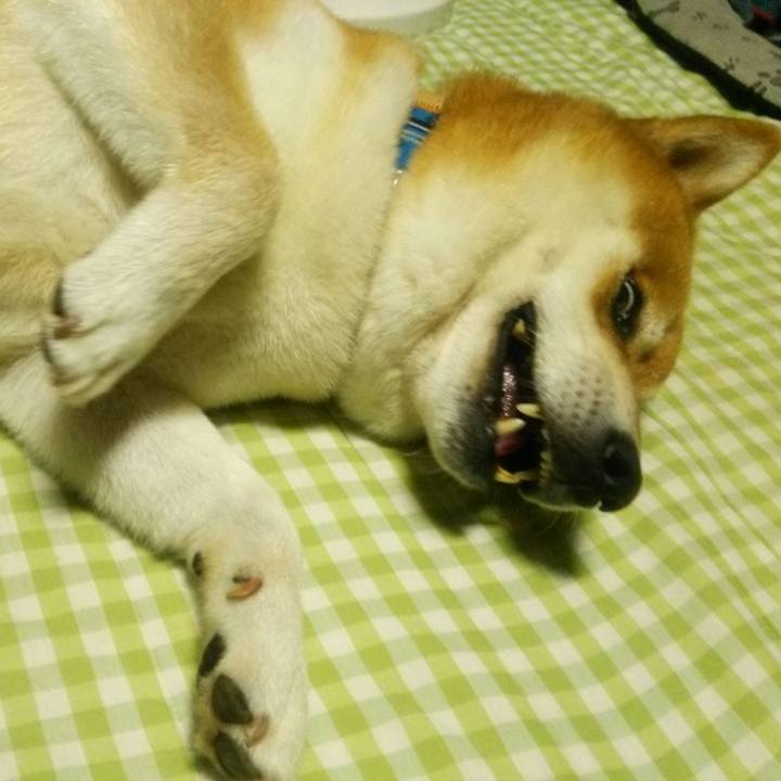 01c6128f 3146 4cf1 8cb9 fb83efb5123d 1535419957549