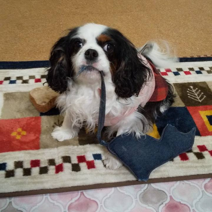 01c657a0 0f52 4dd2 aba1 65c2d681acc5 1581823849647