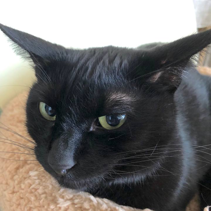 01c67351 4813 4a94 928b 5a61ff5270ed 1555157225844