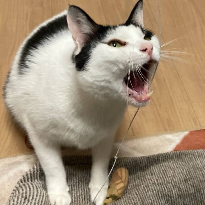 01c68ff5 b7f4 40c7 9563 6e9b37b52b9e 1576324070059