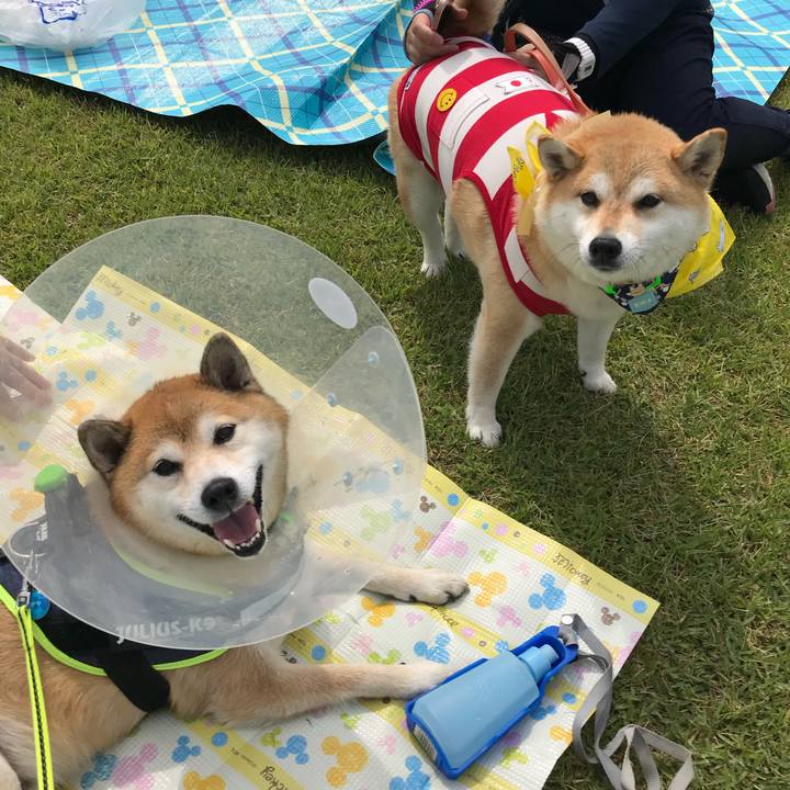 01c6c78e be89 4057 8d3d 2f545ba2d053 1766376235592