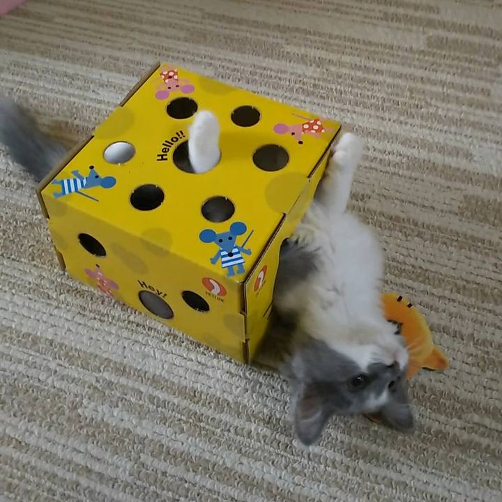 01c6ef24 fe45 4eac 9543 28bcbc91b801 1564291412690