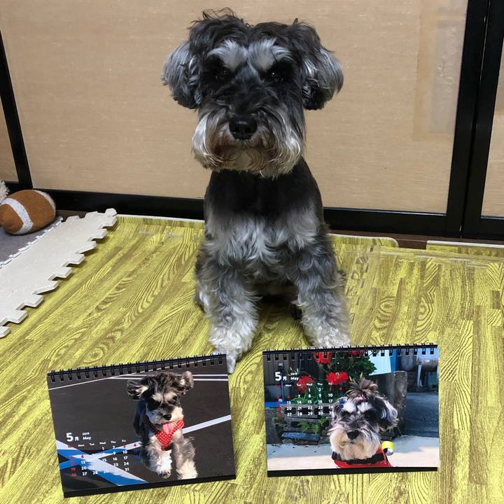 01c70f99 d5ee 45d5 9ffc 3209e7105c90 1556713563022