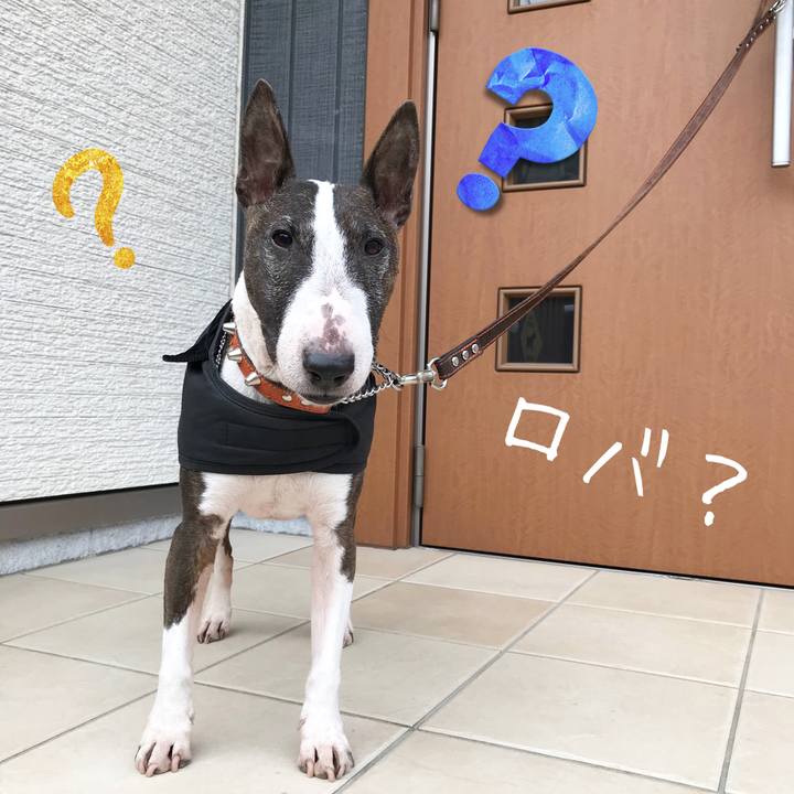 01c71c31 8231 4e04 8d75 4584a0504047 1519813305135