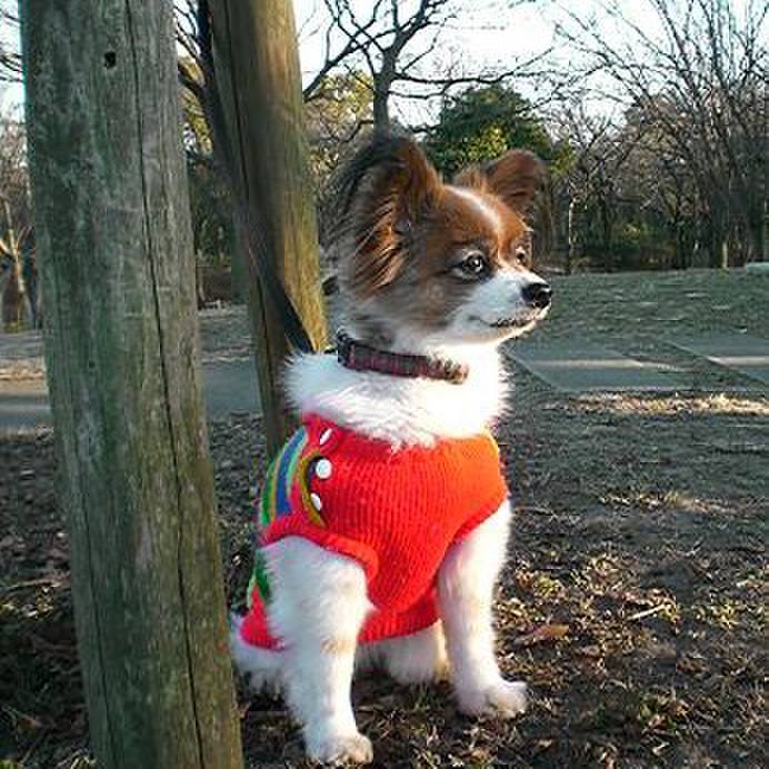 01c7226e a39e 4d21 bc67 afee09eae7f6 1517537922053