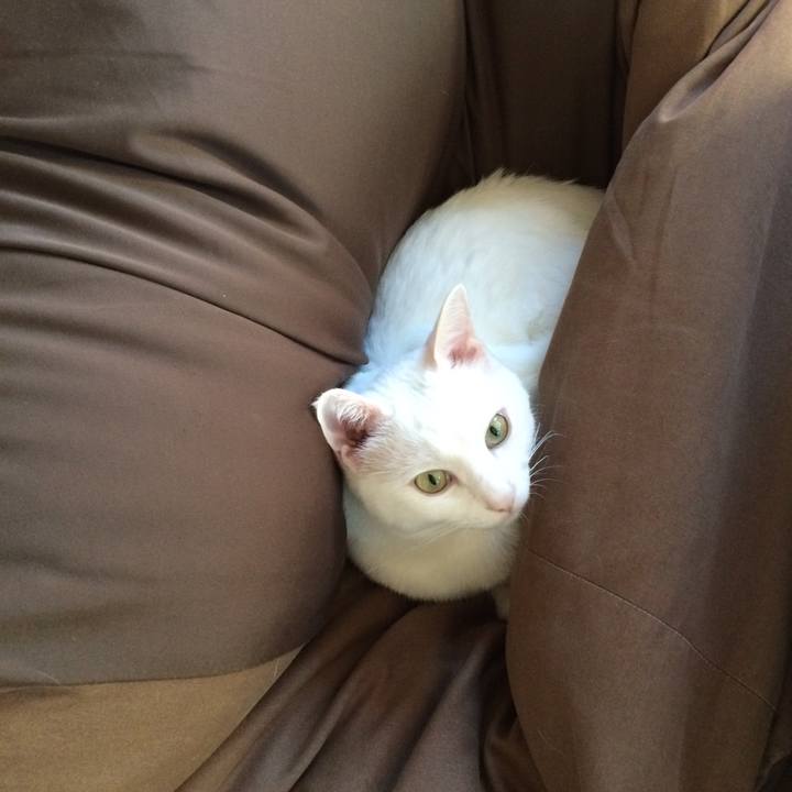 01c73374 0e4d 4c81 9ce6 70a7155dded9 1510922408849