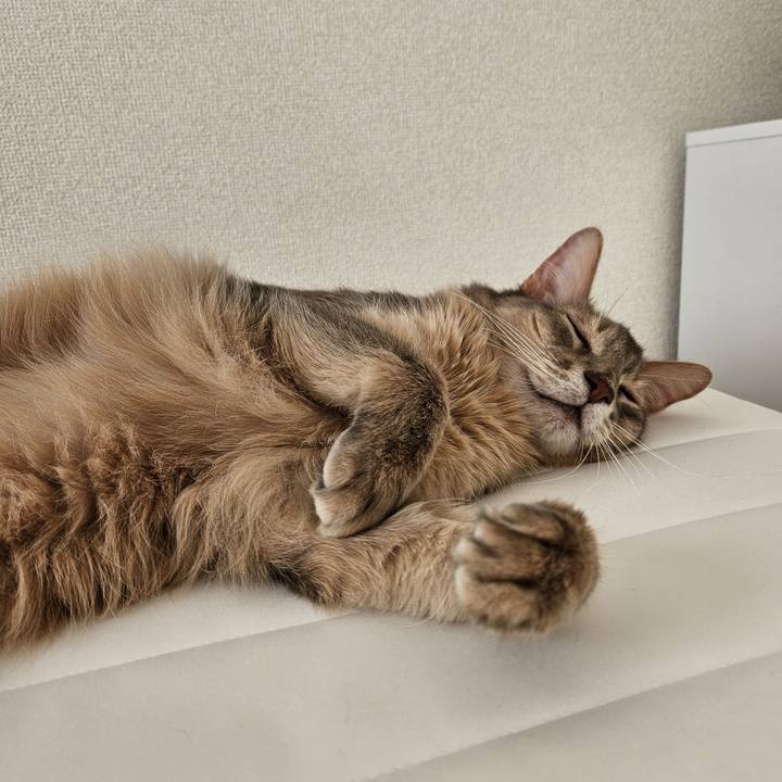 01c74356 9058 4865 959e ad72807a22be 1698644428658