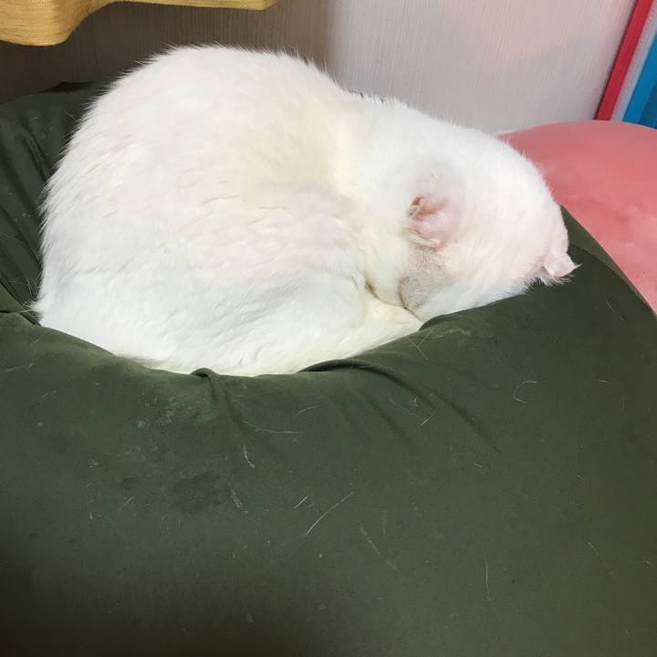 01c74e99 8964 437f 92e3 f55171364fcd 1519647233920