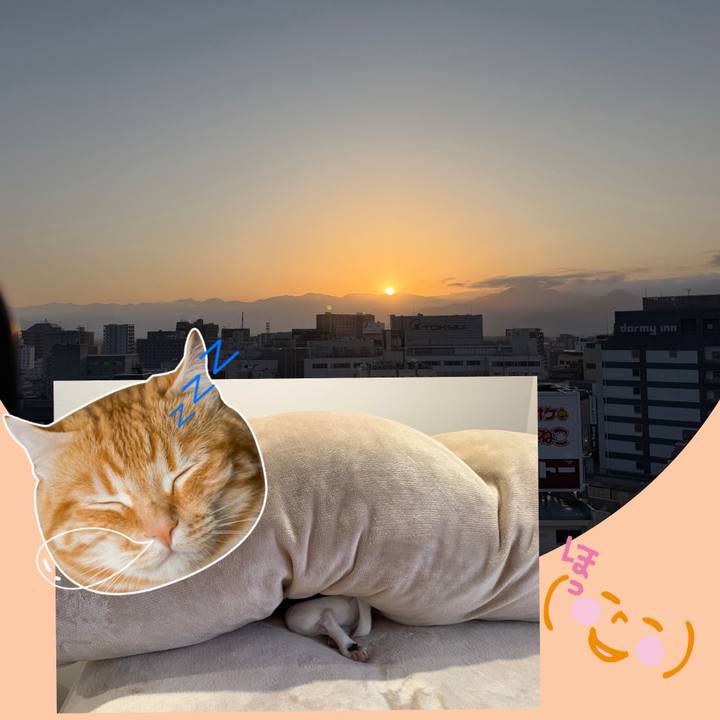 01c7a16d 0032 4fb9 803e 0f68d526f217 1772316431122