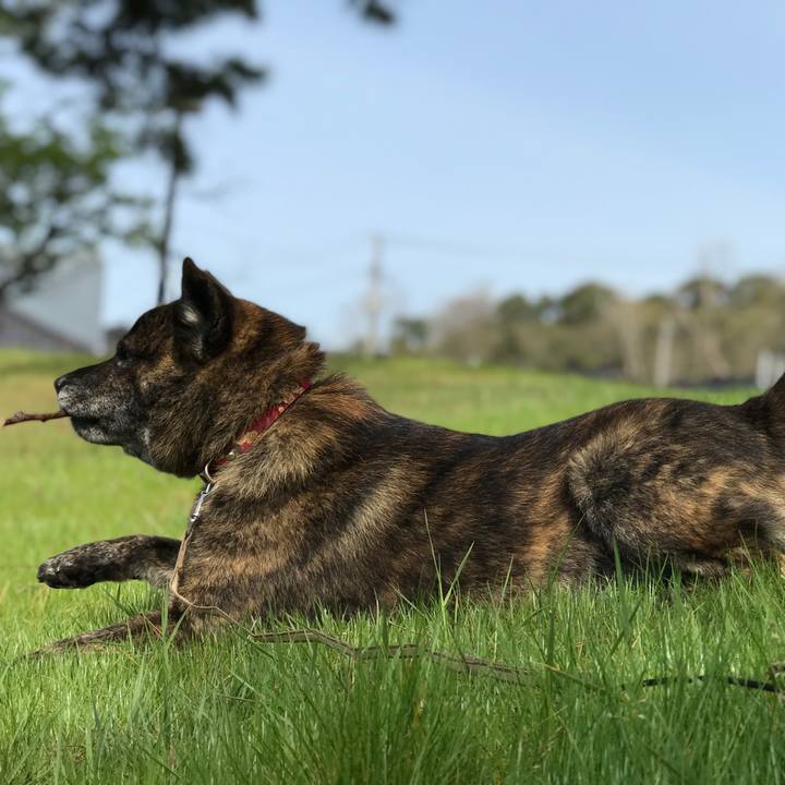 01c7e13f cb34 43ac 9720 a73d7cffe23c 1556532432408