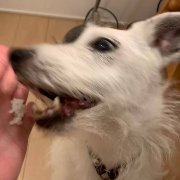 01c7fb29 18cb 4bf3 8f2e 739c39220419 1713352841564