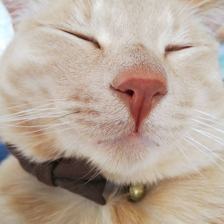 01c8091e 102f 4c6c a372 a4eefb624724 1616897230333