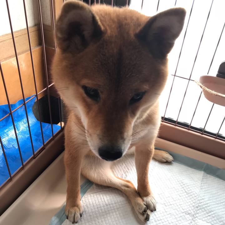 01c822a4 382d 42c8 9b89 e92f04a9bd1e 1538089889870