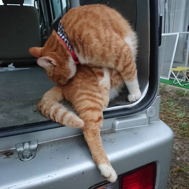 01c86165 e61f 43a2 93c8 8e38029f026c 1569789827105