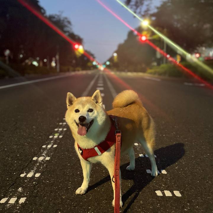 01c86388 c387 441e 8989 98ac3f022e30 1753039601543