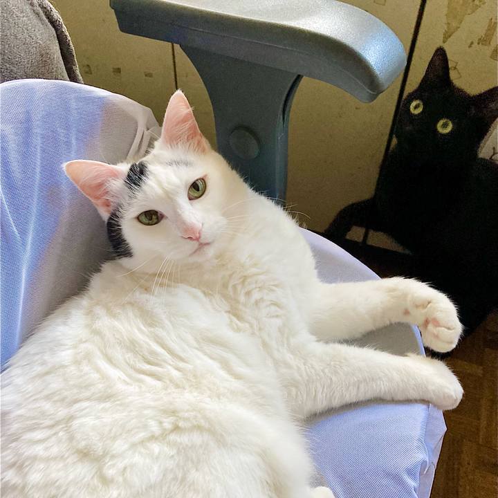 01c881db 09db 42f0 a814 6b96a77bba76 1655692207724