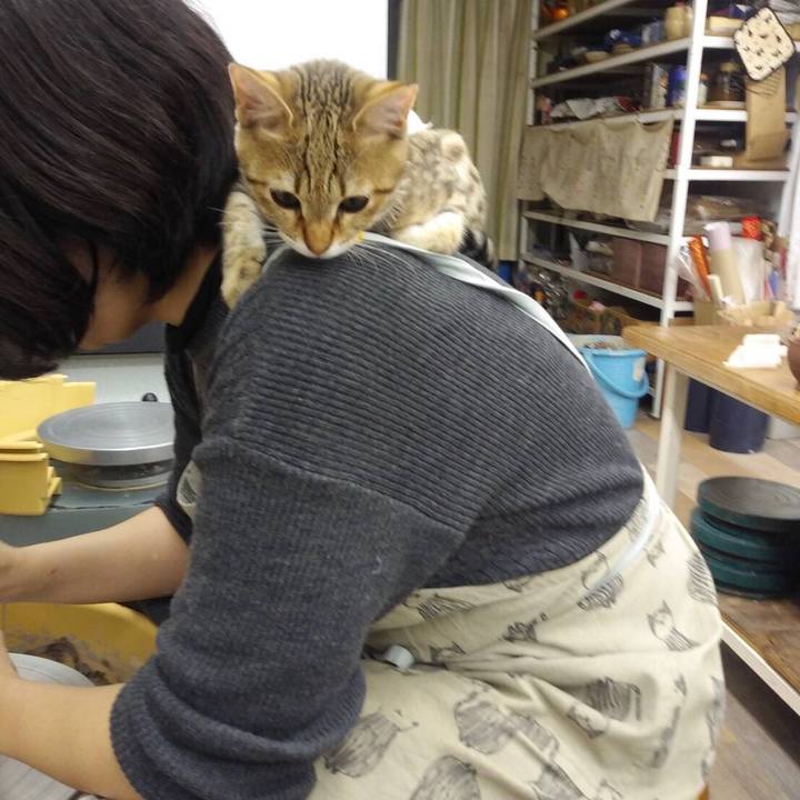 01c8b115 a5de 48c9 82ed 03a036e6e0db 1582506375002