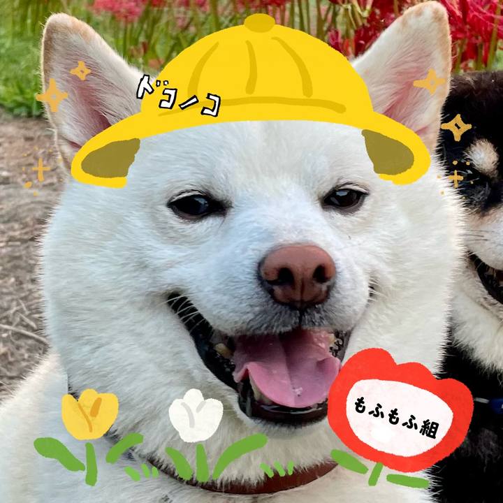 01c8c2ae 82ae 452b ac03 1527eba77b5b 1712215606883