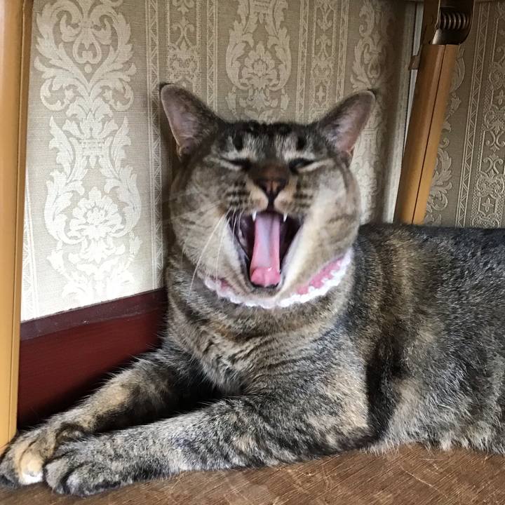 01c8ce57 f651 451a 9f03 233df1458a0b 1691324736846