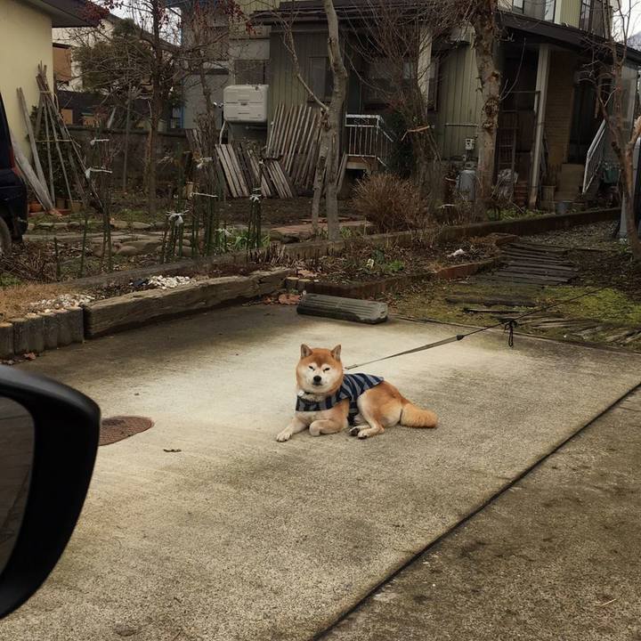 01c8ddf9 c07c 4a25 b89b f62d82308c11 1579156438537