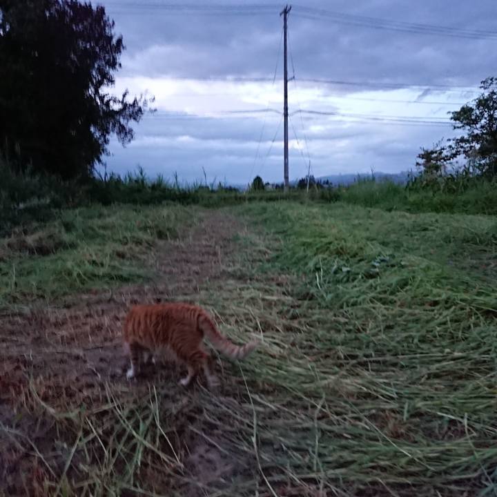 01c8ebfd 59f2 4eef a5e8 f39e03105749 1565863902915