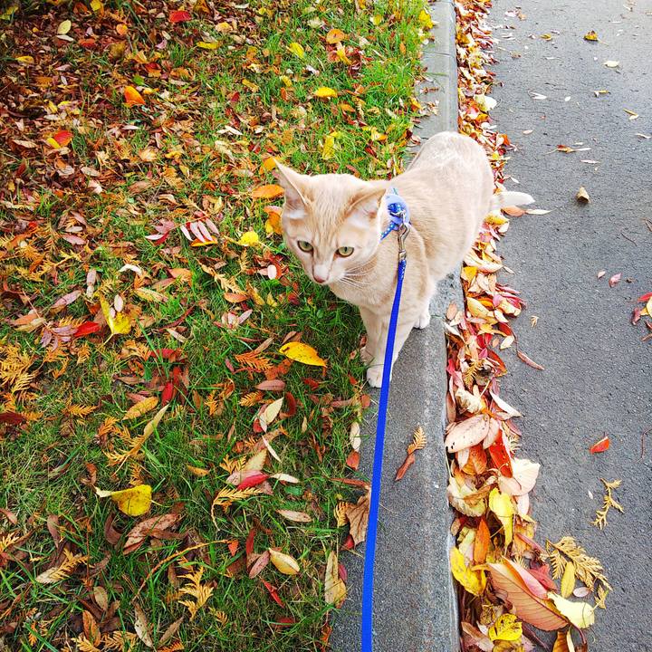 01c910ca aaf8 4f5b 99f5 a32f02ea789c 1604208980498