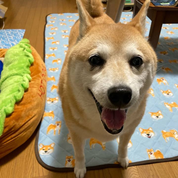 01c9293a 837a 46ec a6ee ce5b787c26f5 1625289724765