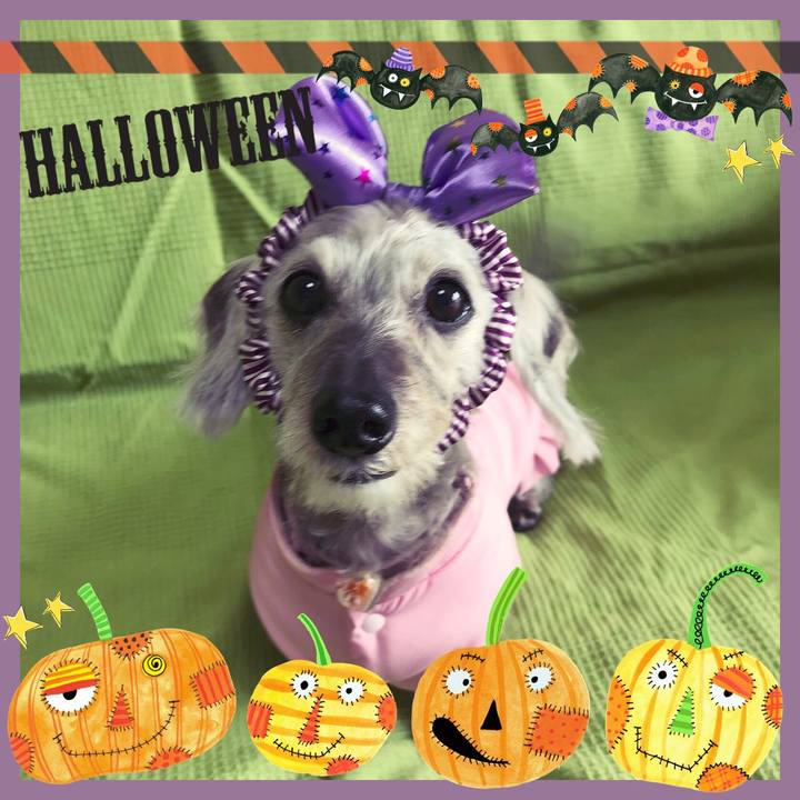 01c9aeef c50b 44c3 a5dc 5e4b211b306f 1509435466994