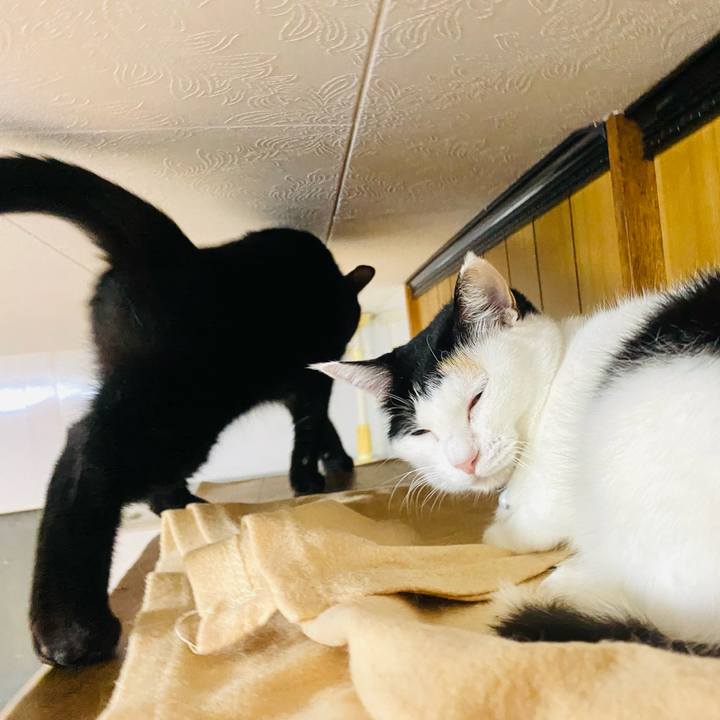 01c9c0cd d02a 47ab 8bb5 b92f8ea6d362 1665498643692