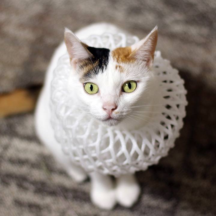 01ca0da9 cc1f 43d6 9022 14725e540873 1662604255956