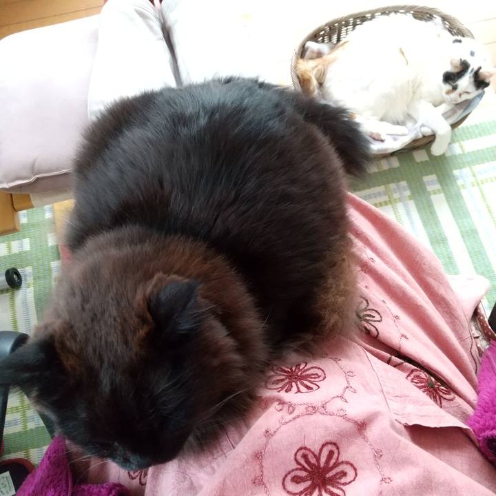 01ca2900 e13e 4bb1 a89d ffec9dfdc98d 1674277986503