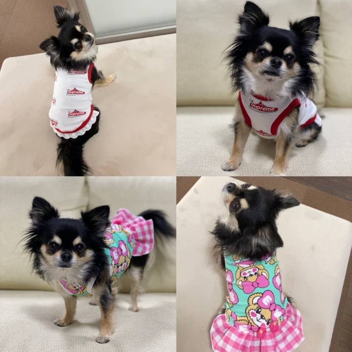 01ca4b30 7a8d 4ff5 be80 edd710219e59 1636368332770