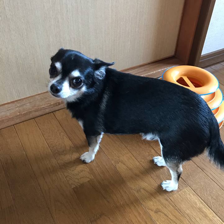 01ca61cc 36ca 4717 a5cc 0be76ce85e98 1571195784701