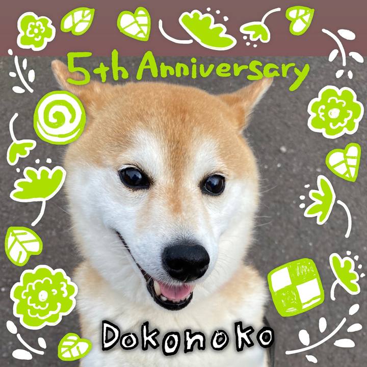 01ca7e51 eeb1 44e1 ae9f 47da2ae23c37 1622861173211