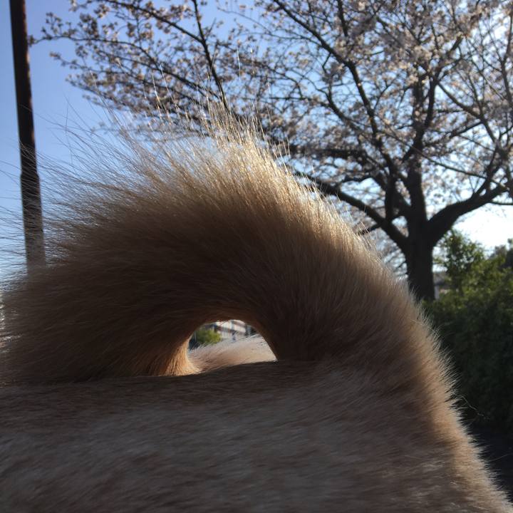 01cac41e c0ca 471e 8917 2b4258928a9c 1521962809960