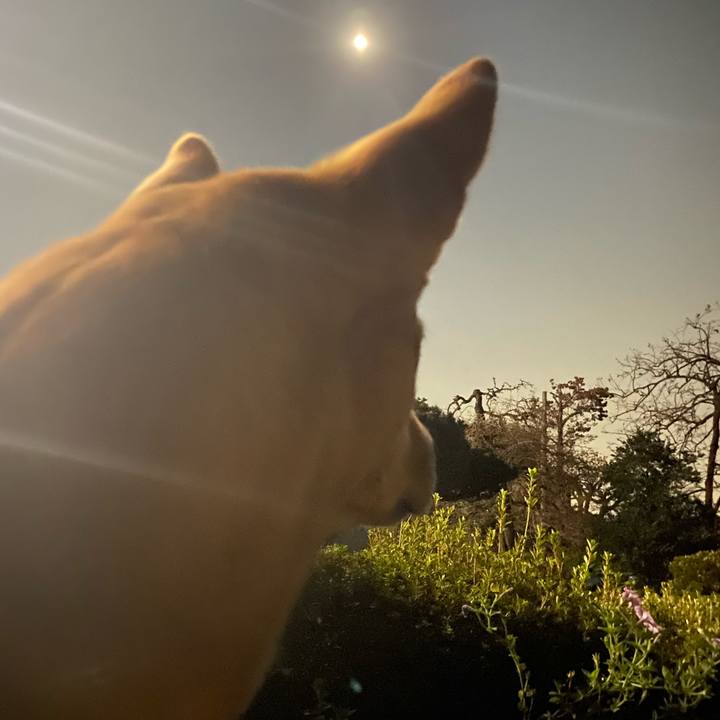 01cacd9a 3159 4368 9af0 683dcb35dbae 1637232431502