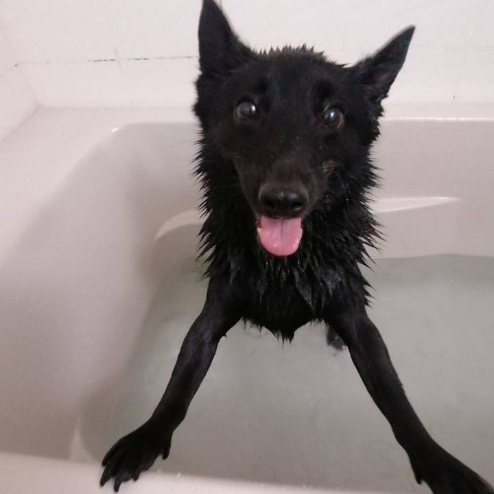 01cb3be5 5426 49a6 8689 7516d5cfa8a2 1634357802244