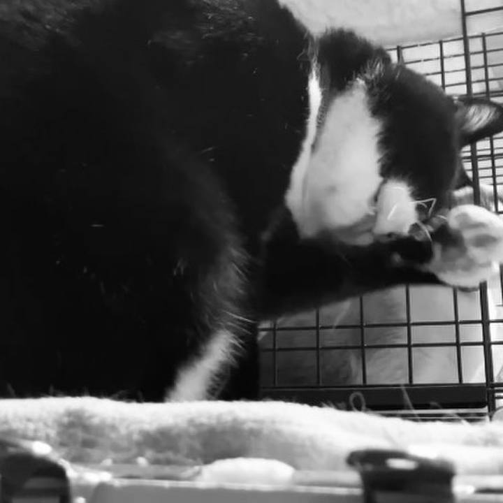 01cb4763 877b 4e30 ba84 85c5ff7a9f09 1742981529270