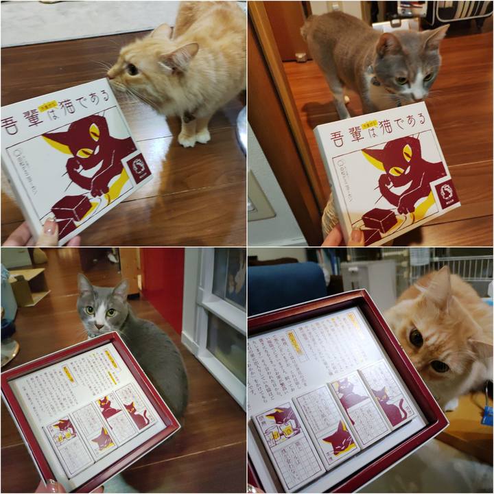 01cb6963 9c43 49c2 bb38 5c52d2e42d67 1700485539606