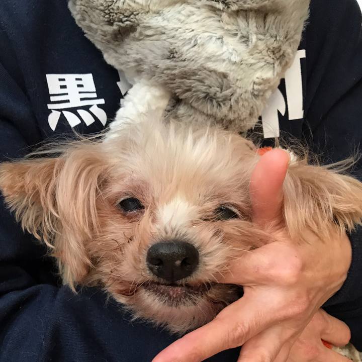 01cb8241 0b27 4e63 834a 76672c5fd406 1547904443169