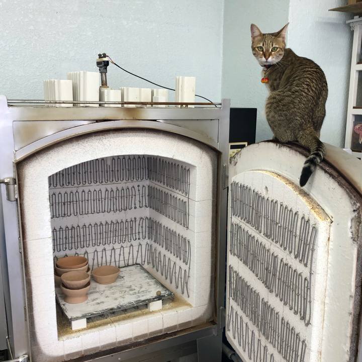 01cb8cd1 8e2b 4197 bd93 9142b64f1626 1615955731918