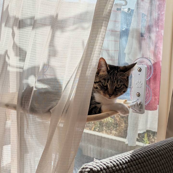 01cbaa1f cd4b 4ef4 9c44 c96e7246a125 1702082045197